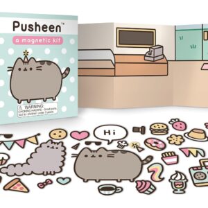 Imanes Kit Magnetico Refrigerador De Gato Pusheen Original