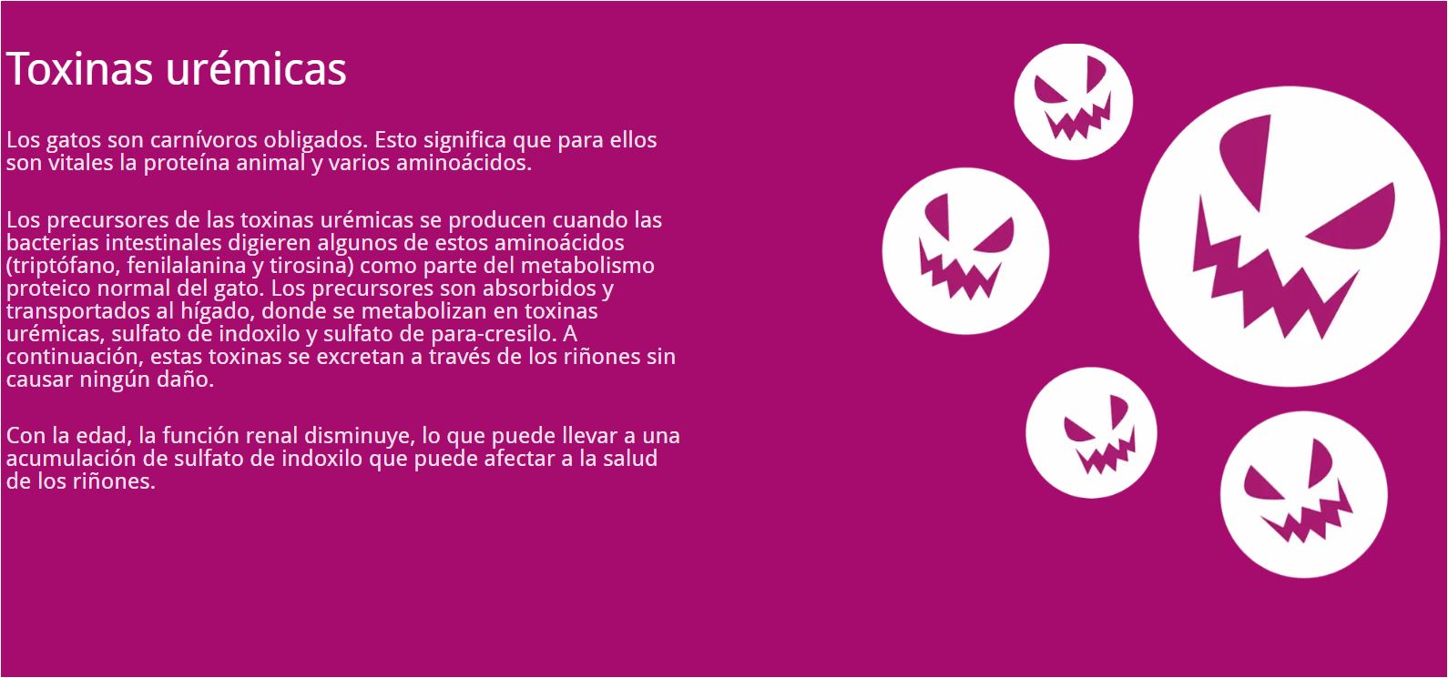 Dechra Porus One Para Gatos Salud Renal 30sobres X 500mg C/u - Imagen 2