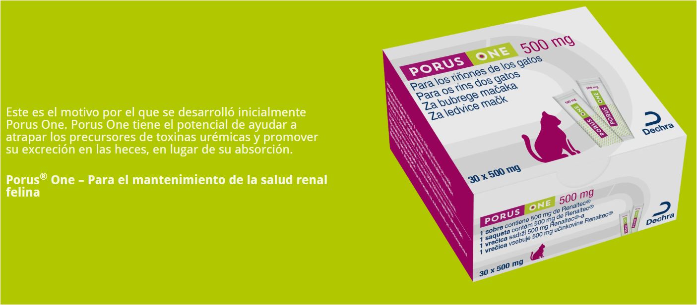 Dechra Porus One Para Gatos Salud Renal 30sobres X 500mg C/u - Imagen 4
